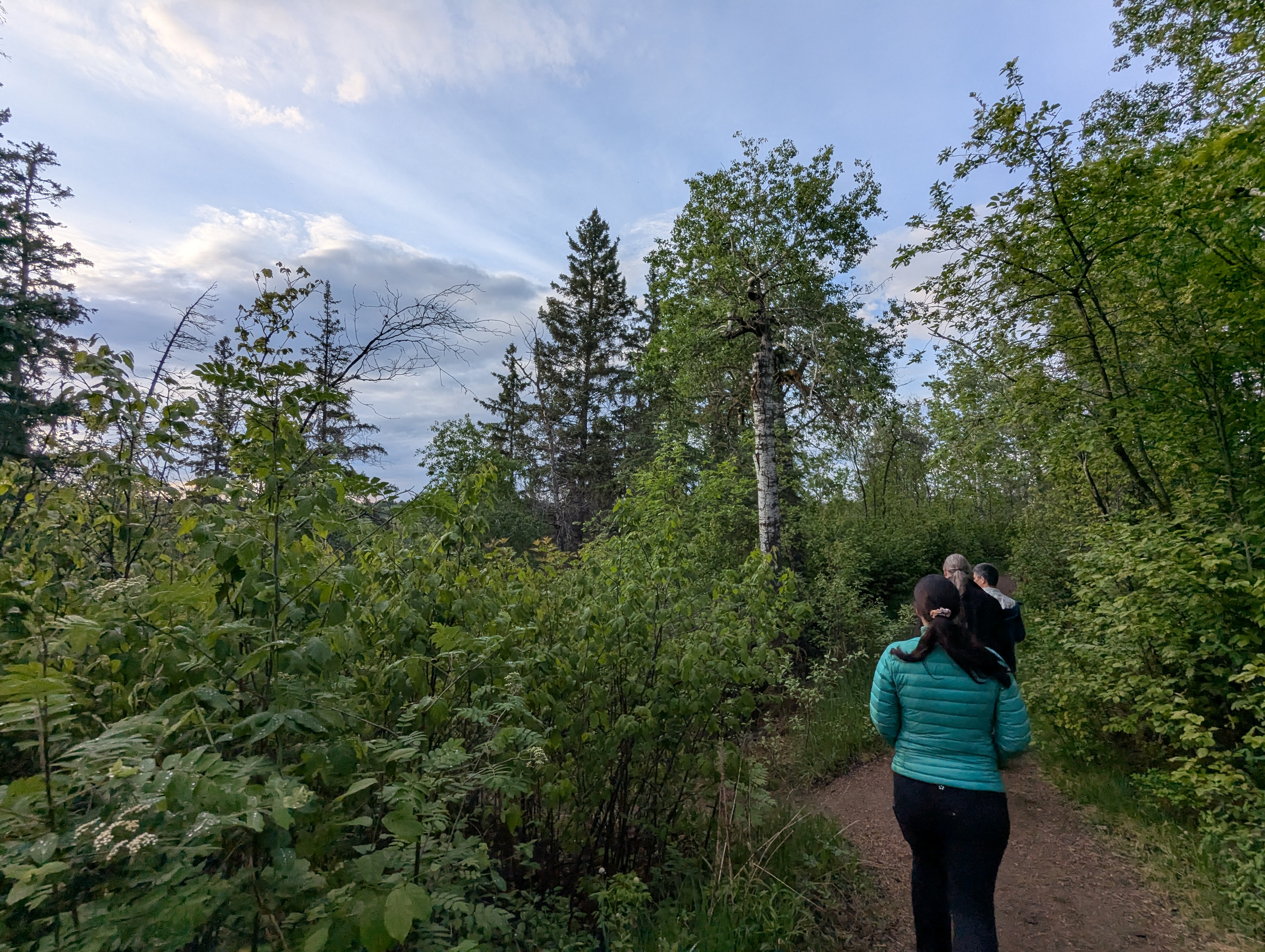 Birthday Trip to Canada, Edmonton